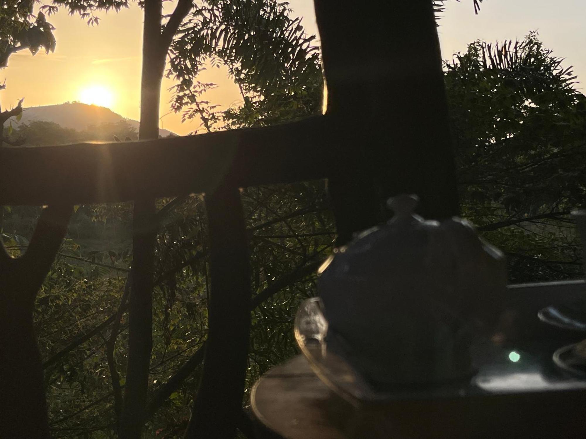 Hotel Sigiriya Rock Gate Tree House Zewnętrze zdjęcie