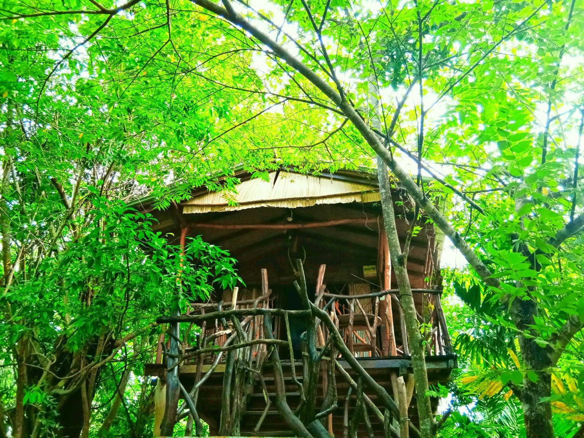 Hotel Sigiriya Rock Gate Tree House Zewnętrze zdjęcie