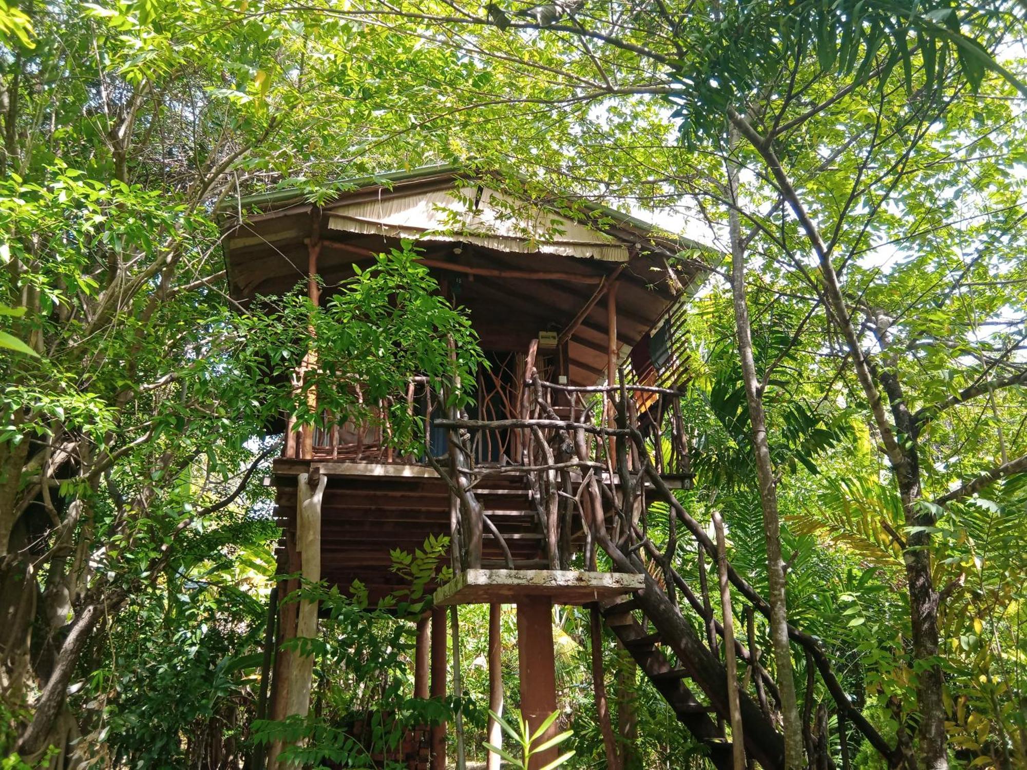 Hotel Sigiriya Rock Gate Tree House Pokój zdjęcie