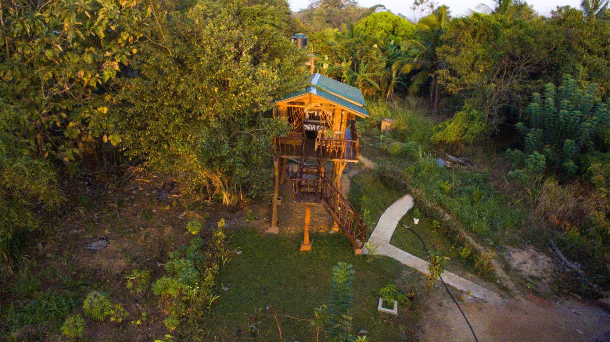 Hotel Sigiriya Rock Gate Tree House Zewnętrze zdjęcie
